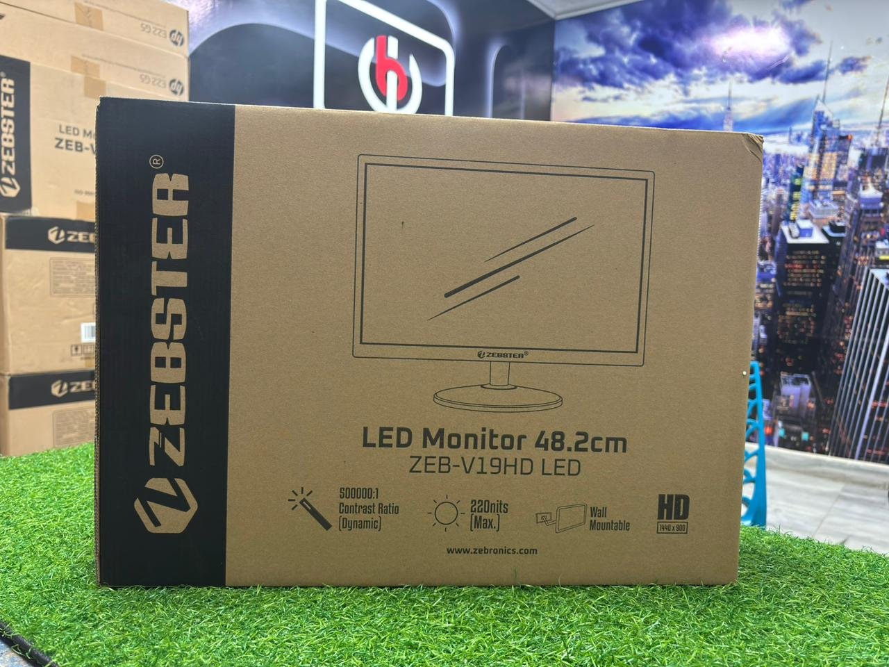 ZEBSTAR 19 inch HD LED display budget monitor for home and office