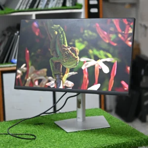 Dell IPS monitor display with vibrant colors and wide angles