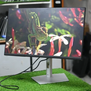 Dell IPS monitor display with vibrant colors and wide angles
